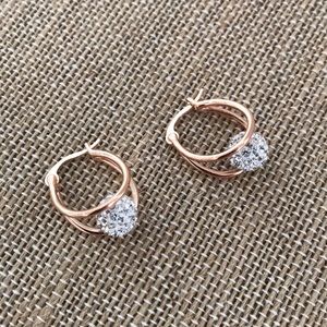 Rose Gold Double Hoop Earrings